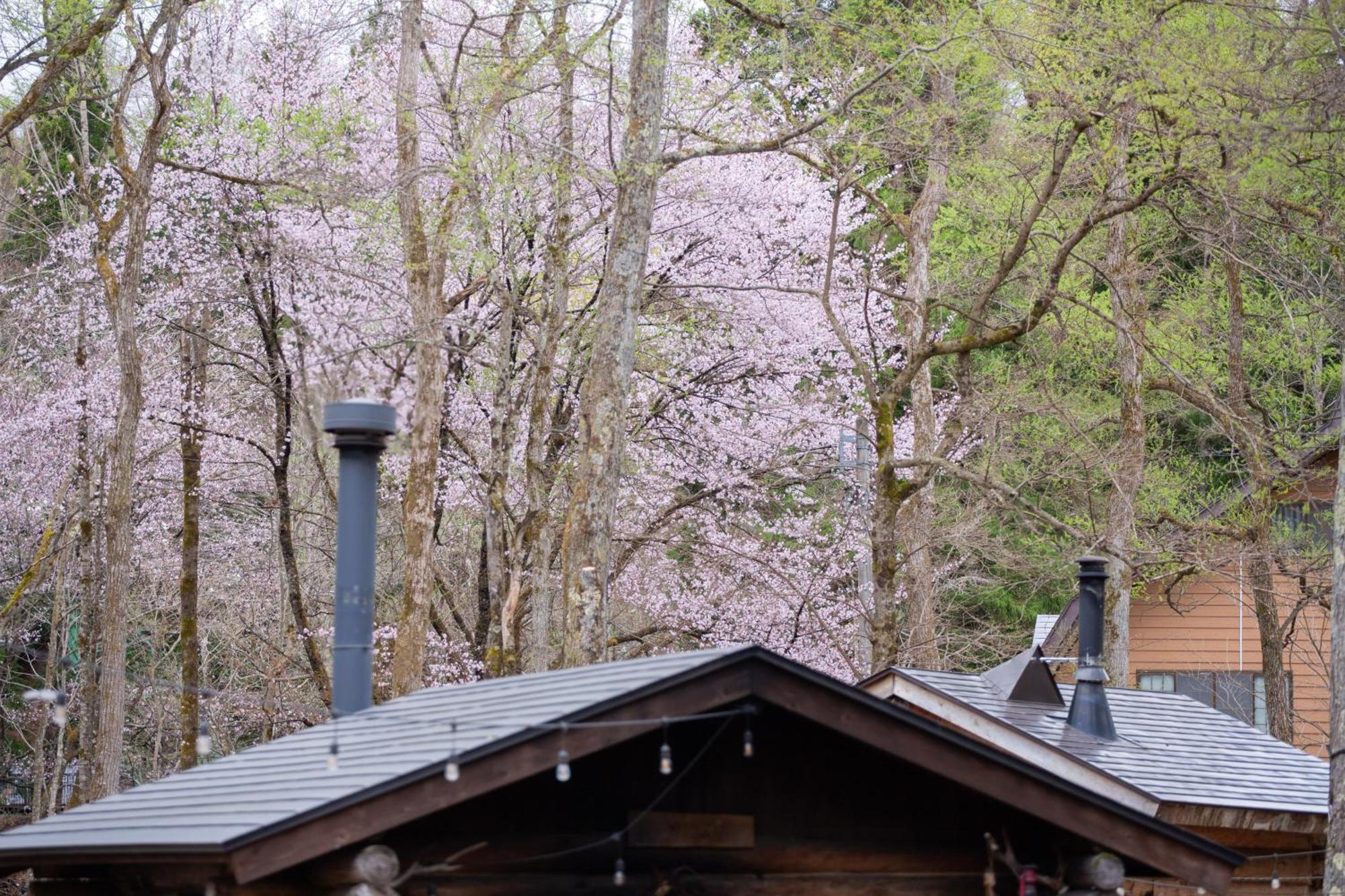 Guest House LAMP Lake Nojiri Shinano  Extérieur photo